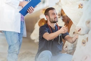 Denizli Büyükşehir’den üreticiye sahada destek