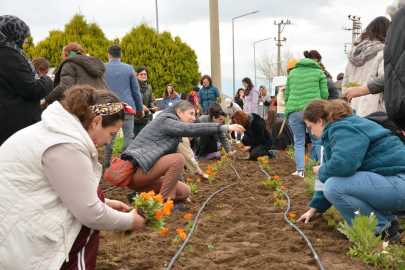 Balıkesir Büyükşehir'den tıbbı ve aromatik bitkiler yetiştiriciliği kursu