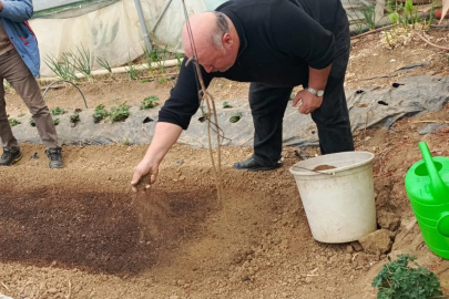 Bilecik Pazaryeri’nde tütün geçim kapısı oluyor