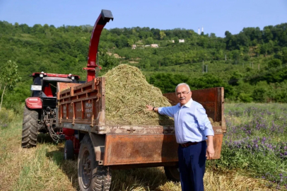 Ordu’da atıl arazi tarıma kazandırıldı